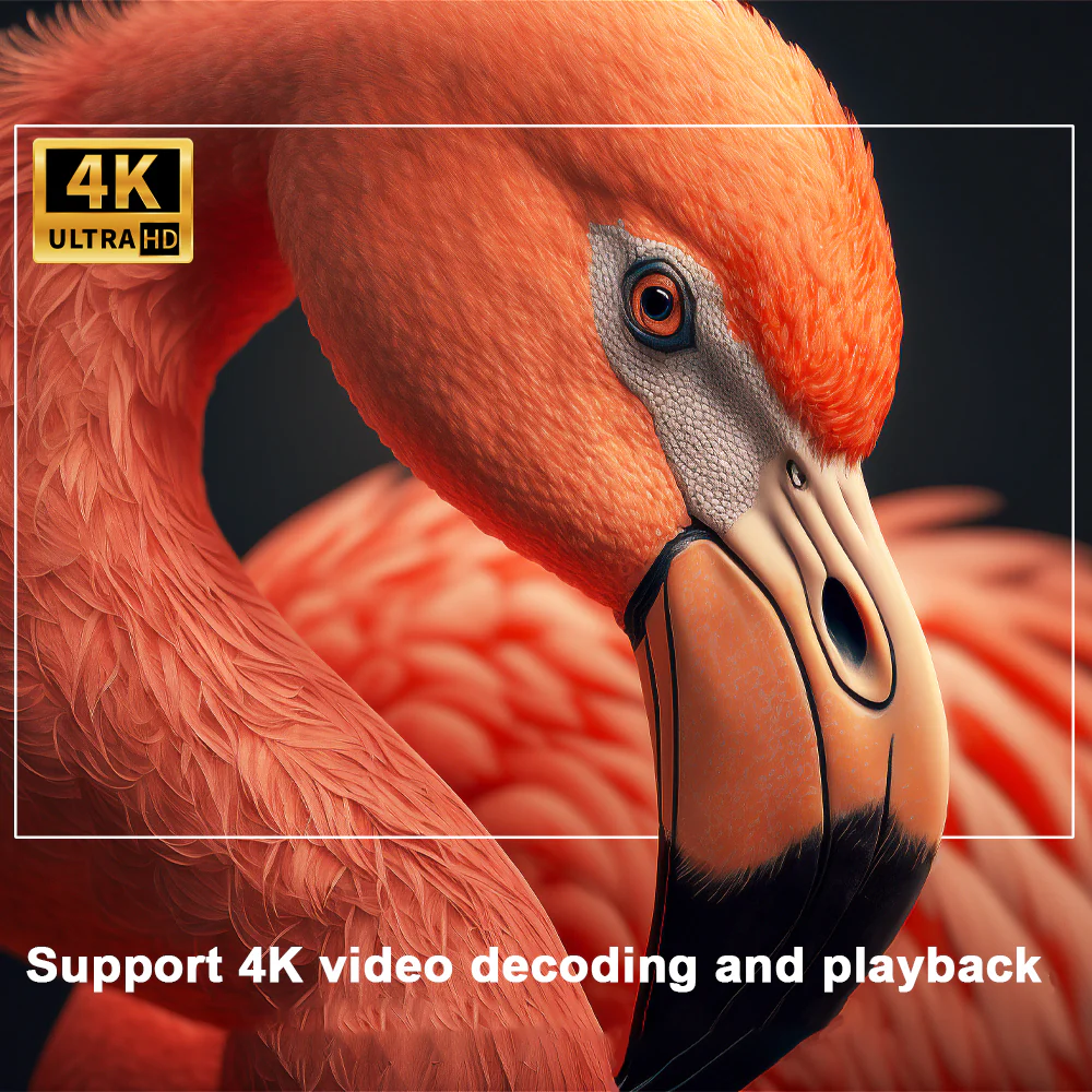 Flixo-  Pro smart projector